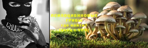 винт Абаза
