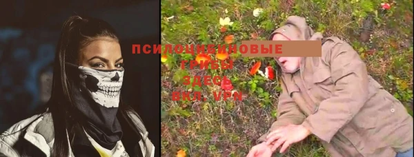 винт Абаза