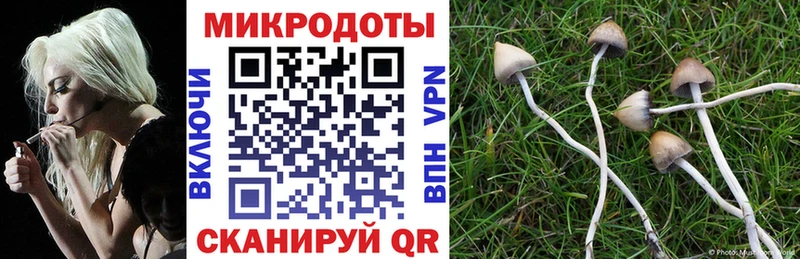Псилоцибиновые грибы прущие грибы  Шенкурск 