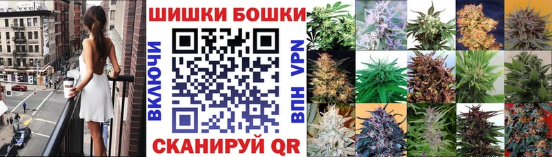 мега как войти  Шенкурск  Шишки марихуана конопля 